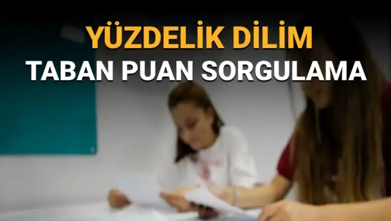 LGS 2025 Taban Puanları ve Yüzdelik Dilim Sorgulama Süreci