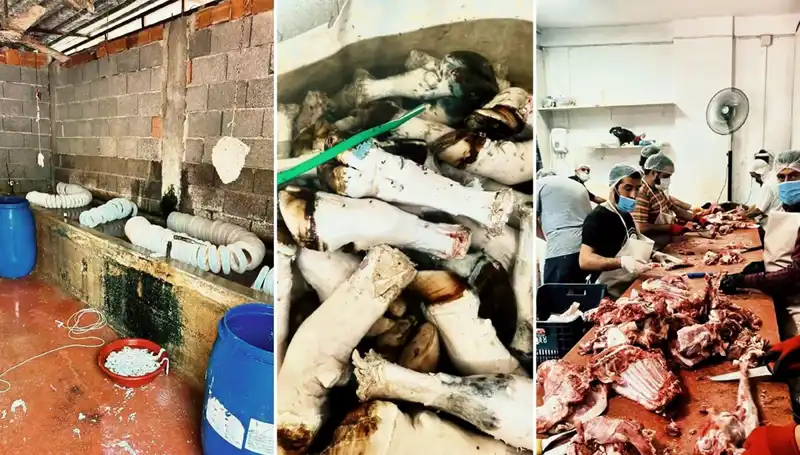 Adana'da Şok Edici Görüntüler: Yüzlerce Kilo Paça İle İlgili Gizemler