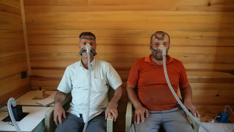 Alerji, Astım ve Bronşit İçin Şifa Kaynağı Keşfedildi!