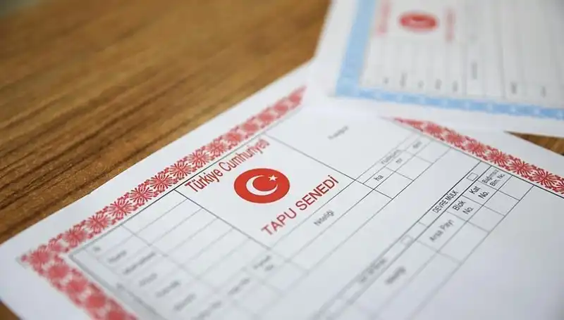 100 Milyonluk Dolandırıcılık: Hisseli Tapu Tuzakları Ortaya Çıktı