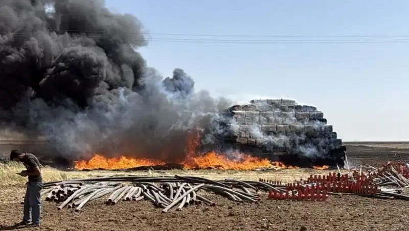 Mardin'de Anız Yangını: Tarım Arazileri Tehlikede, Çiftçilerin Endişesi Büyüyor