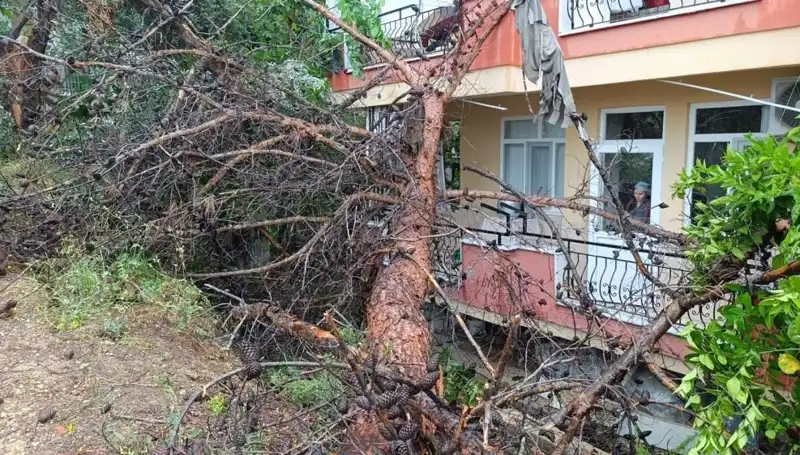 Yağmurun Kurbanı: Bina Çöktü, Mahallede Panik Havası Esti!