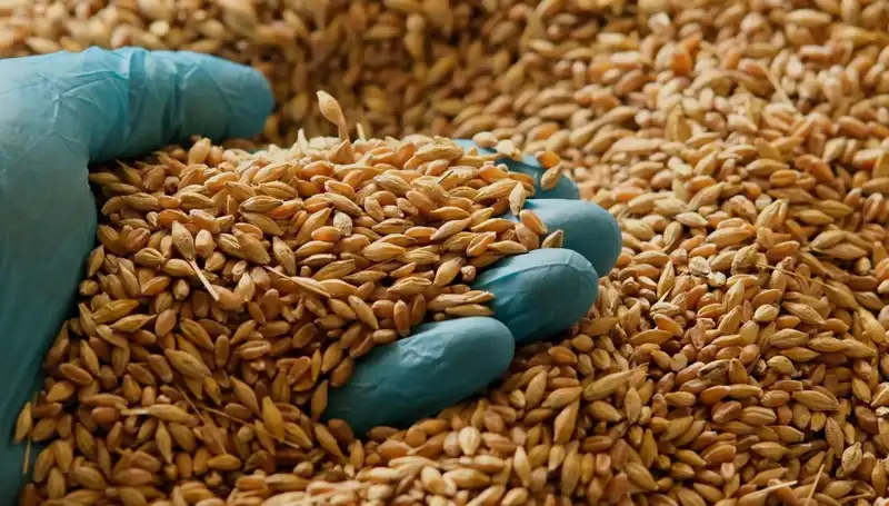 Kalp Hastalığı Riskini Azaltan Beslenme İpuçları Neler?