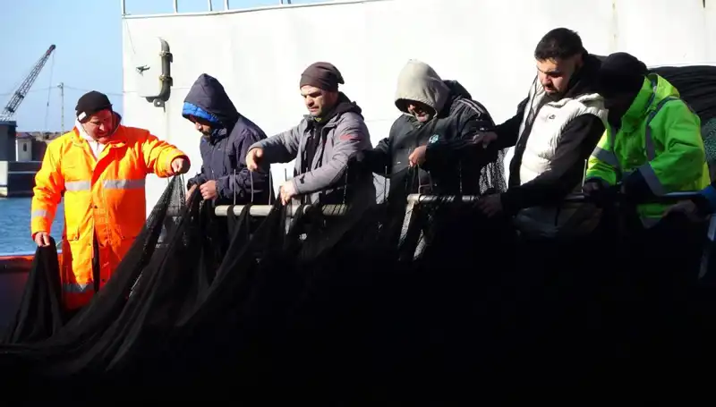 Denizlerde Hamsi Avcılığı Sona Erdi: Balıkçılar Üzgün, Tekneler Limanda Bekliyor