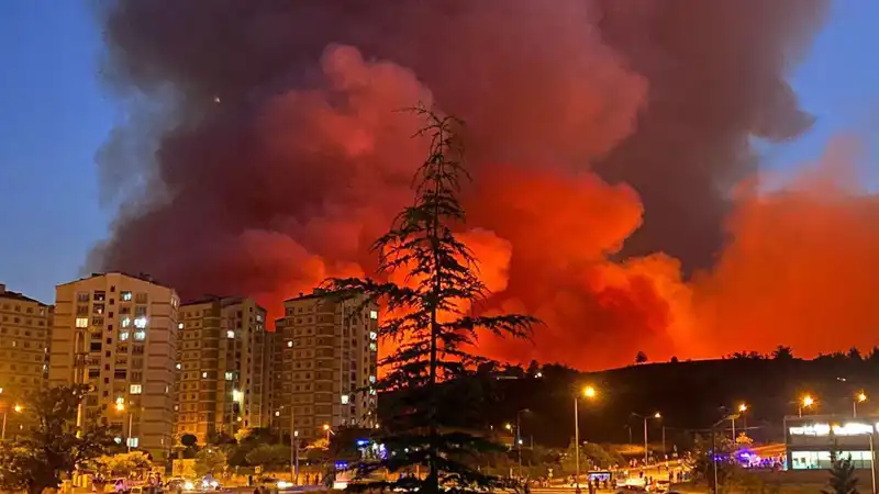Bursa'daki Yangınlar Şehri Korku İçinde Bıraktı, Nedenleri Araştırılıyor