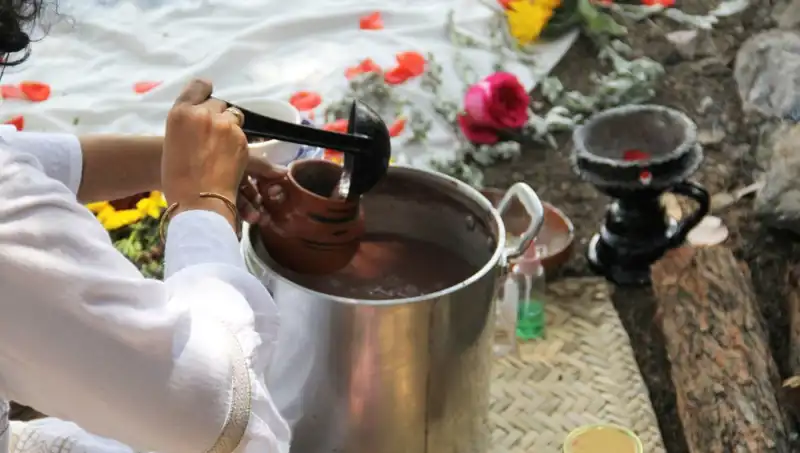 Ayahuasca: Gizemli Şifa Çayı ve Günümüzdeki Yasal Durumu
