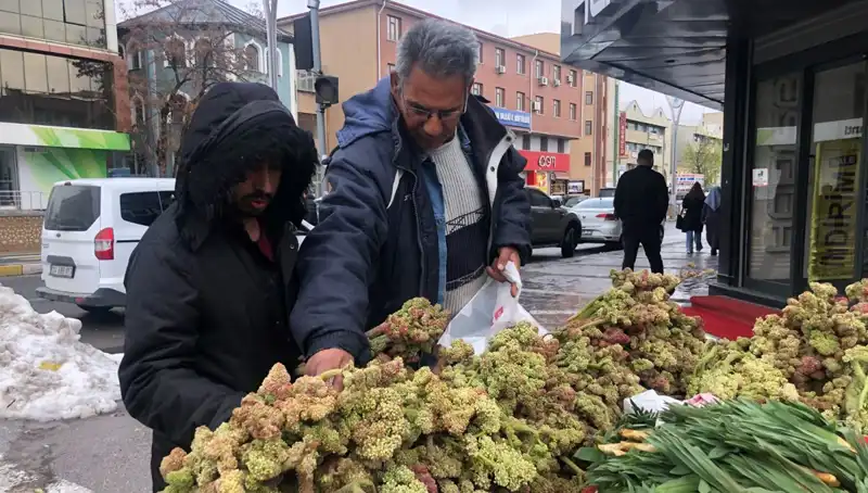 Kendiliğinden Yetişen Vitamin Deposunun Sağlık Faydaları ve Kanserle Mücadelesi