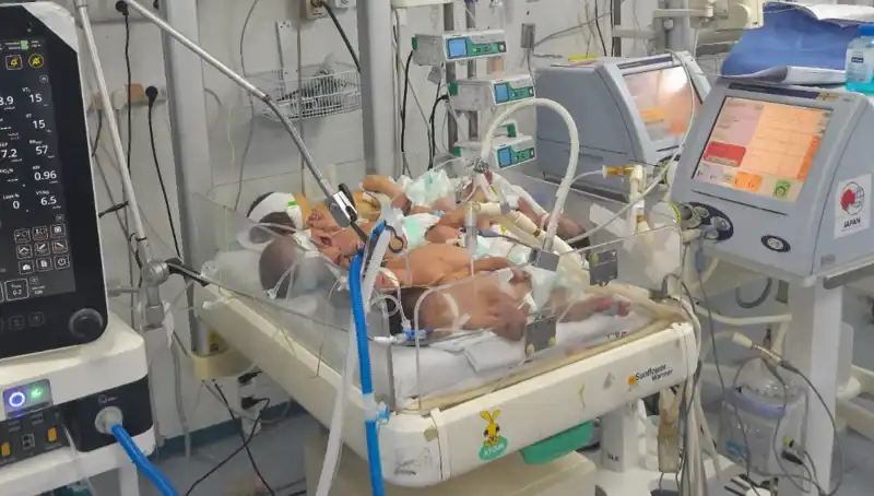 Gazzeli Doktorların Çaresizliği: Çift, Üçlü ve Dörtlü Bebekler Aynı Kuvözde!