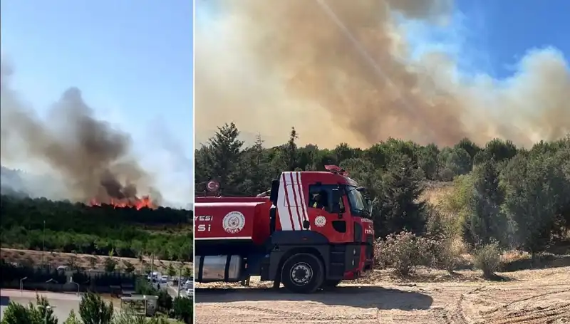 Gebze'de Yangın Korku Saldı! Orman Alev Alev Yandı