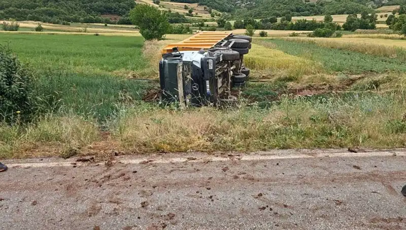 Tokat'ta Kamyon Devrildi: Sürücü Hayatını Kayıp Etti