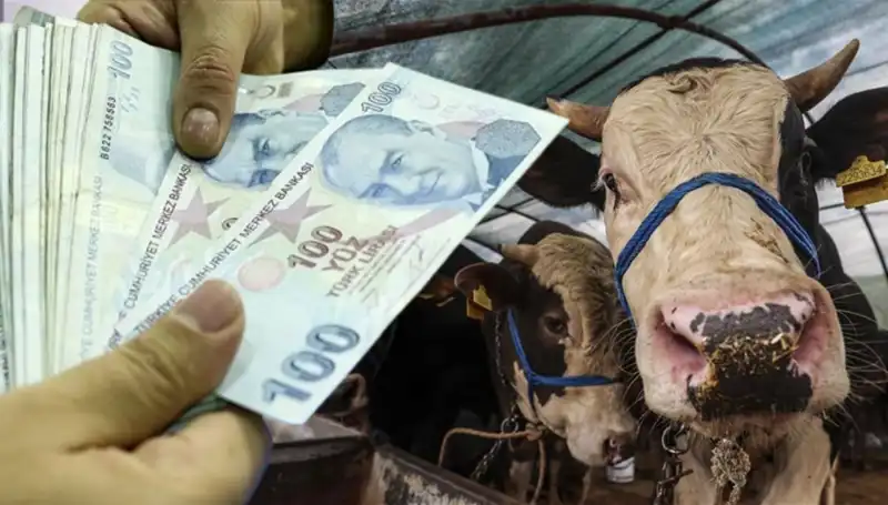 Emekli ve Memurlar Bayram Öncesi Maaş Müjdesi Aldı!