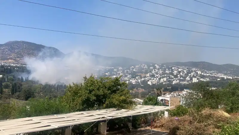 Muğla'daki Orman Yangınları Kontrol Altına Alındı, Ancak Tehlike Boyutunu Koruyor