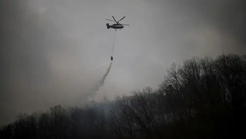 Güney Kore'deki Helikopter Kazası: Yangın Söndürme Uçağı Düştü, Bir Kişi Hayatını Kaybetti