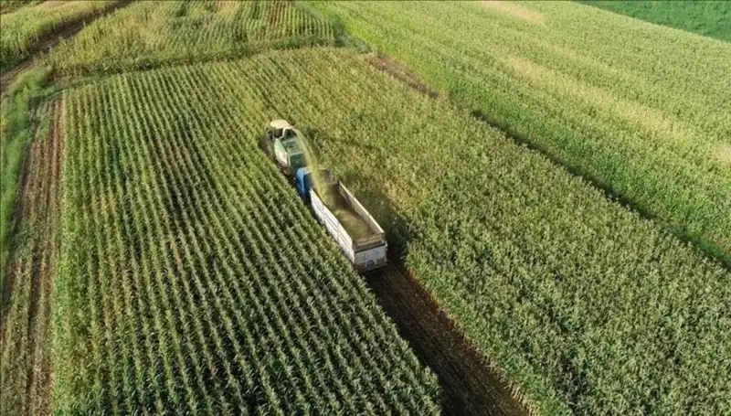 2025 Mazot ve Gübre Desteği Ödemeleri: Son Durum Nedir?