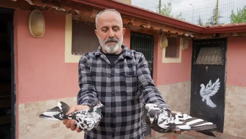 42 Yıllık Hobi Artık Profesyonel Bir Tesis: İl Dışından Yoğun Talep Var!
