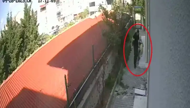 Veteriner Doktor, Sahiplendiği Köpekleri Evde Parçalayıp Öldürmekten Tutuklandı