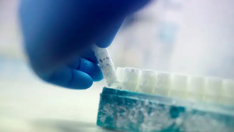 Tıbbi Felaket: 85 Sperm Donörü ile Binlerce Çocuğa Baba Olundu!