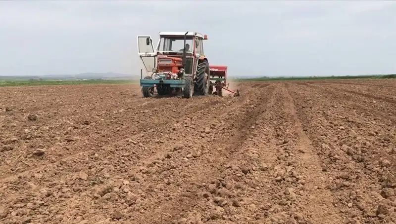 Son 35 Yılın En Kurak Mart Ayı: İklim Değişikliği mi Yoksa Doğa Oyunları mı?