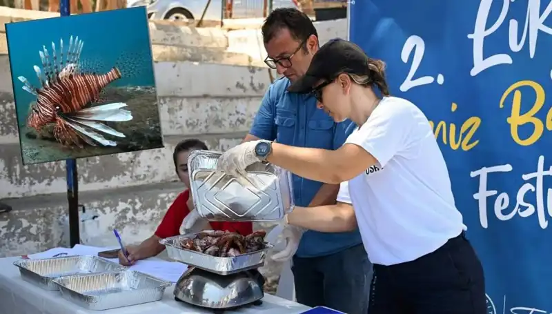Antalya'da İstilacı Aslan Balığı Avlama Yarışması: Doğa İçin Rekabet Başlıyor!