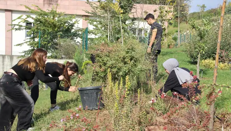 Düzce’nin Yetiştirdiği Yetenek, Dünya Sahnesinde Hayalini Gerçekleştirdi