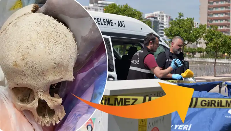Sitenin Çöpünden Kafatası Bulundu, Uzman Doktor Gözaltında!