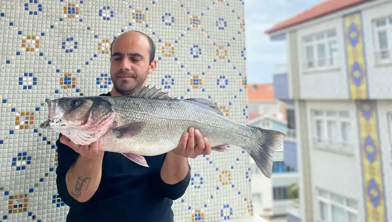 7,5 Kiloluk Dev Levrek: Balıkçıların Avladığı Şaşırtan Olgu!